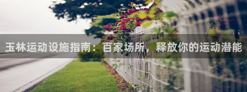 尊龙凯时app安装
