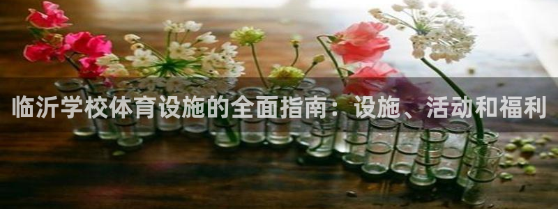 尊龙集团有限公司是国企吗