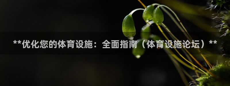 尊龙官网网页版