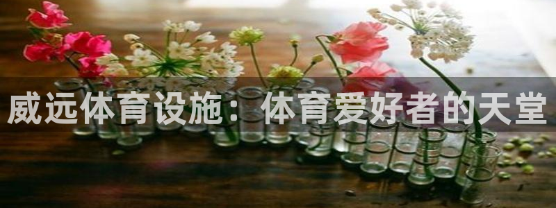 尊龙d88手机版下载