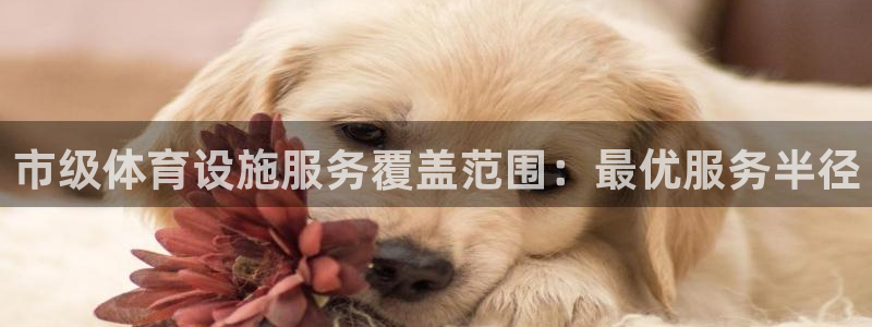凯时K66最新版本下载