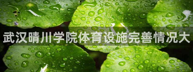 尊龙官方APP下载
