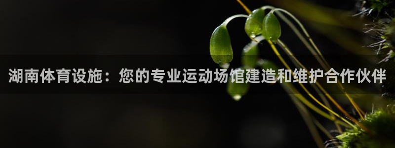 尊龙凯时 人生就是搏