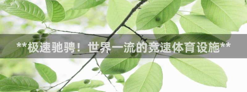 尊龙d88会员