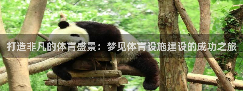 尊龙人品怎么样