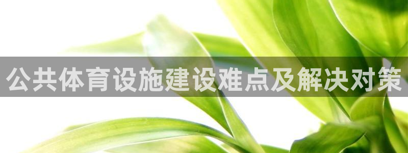 尊龙凯时百家乐手机下载