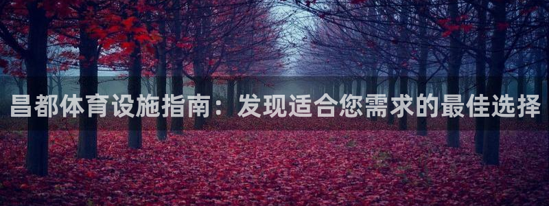 尊龙凯时平台官网