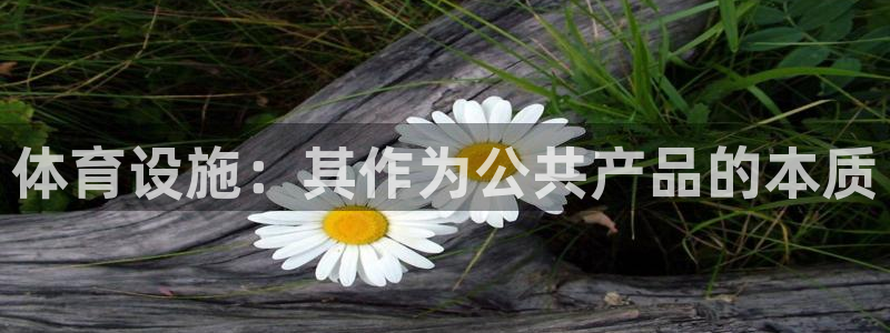 尊龙凯时返现
