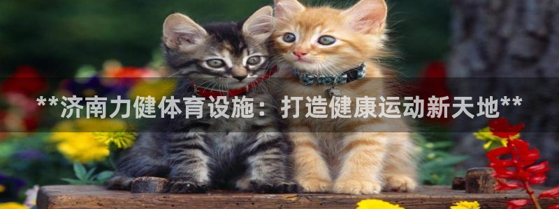 尊龙凯时官网网址