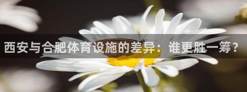 尊龙旗舰app