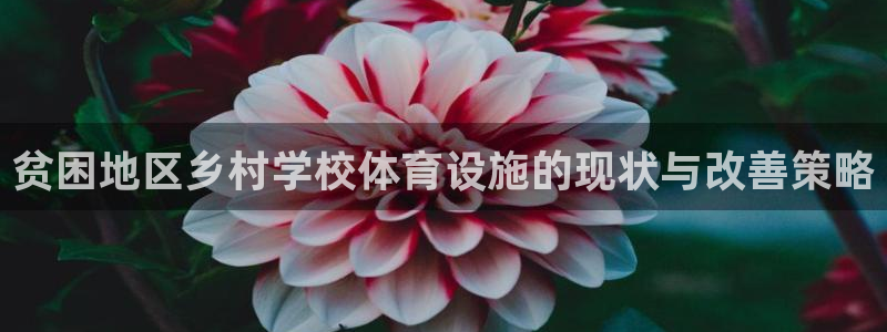 尊龙人生就是博AG