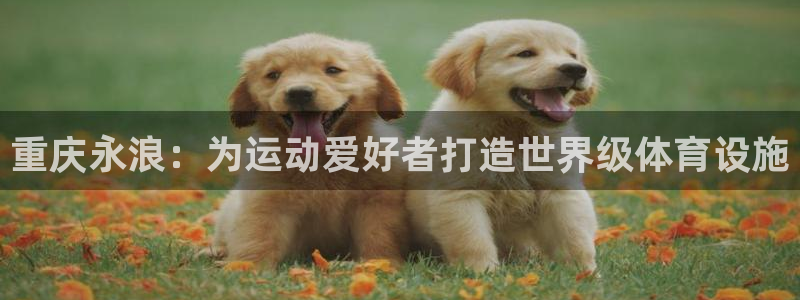 尊龙d88官网可靠送38元