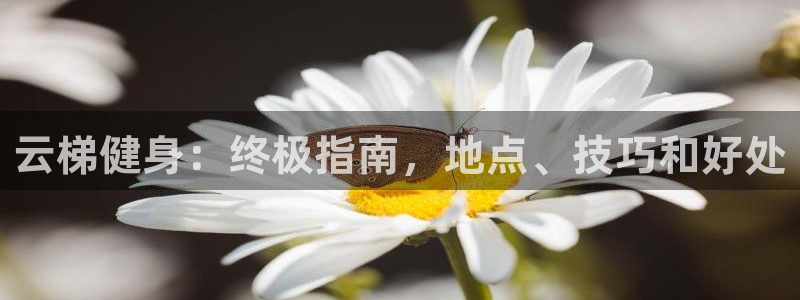 凯时游戏app