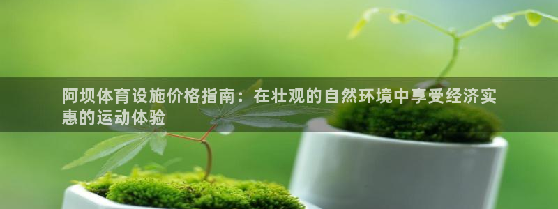 尊龙凯时干什么的