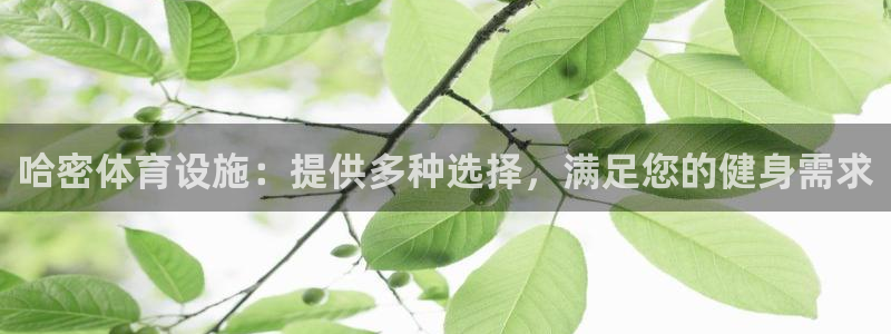 尊龙怎么没消息了