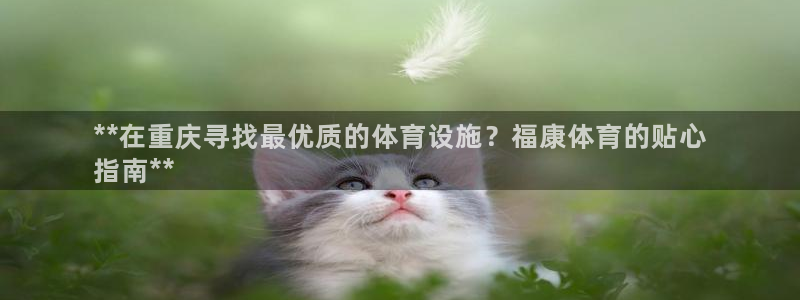 尊龙凯时网