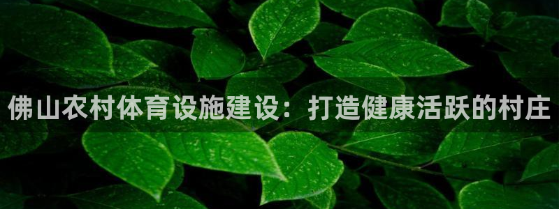 尊龙AG旗舰厅app下载