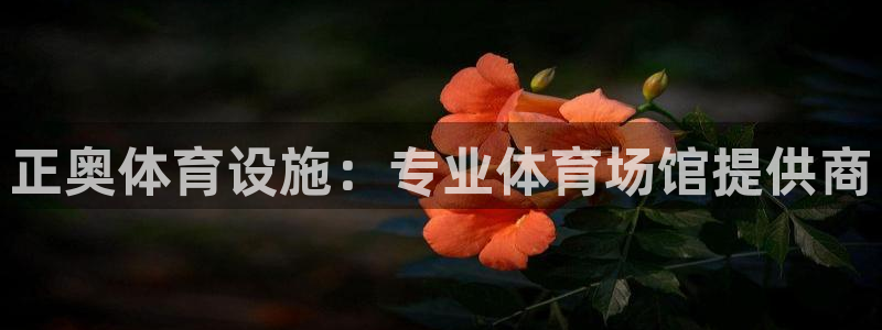 尊龙官方