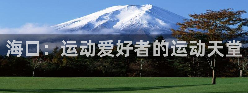 尊龙ag旗舰厅登陆