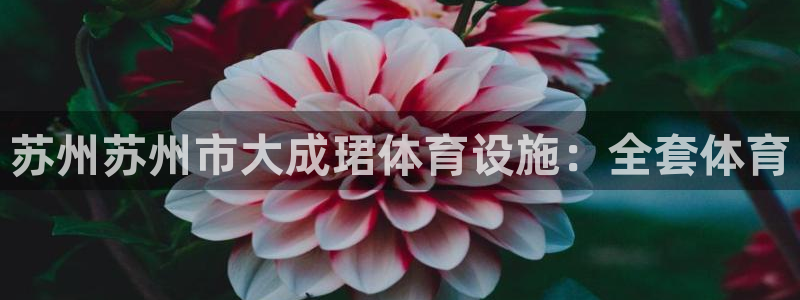 尊龙人生就是博旧版现金娱乐一下