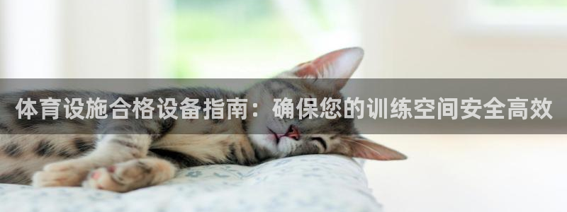 尊龙凯时官网网址
