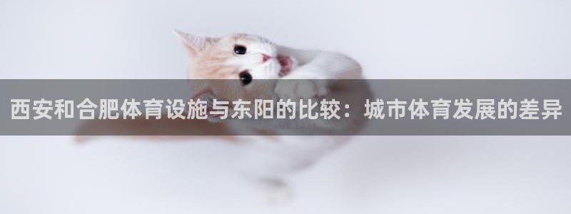 尊龙凯时干什么的
