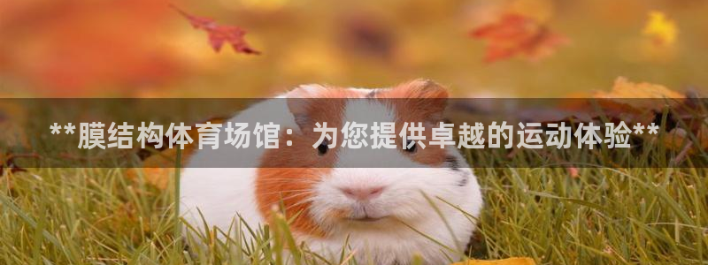 尊龙官网网页版