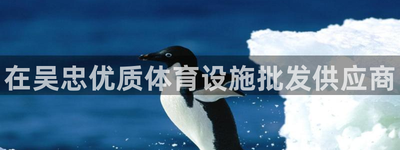 凯时官网手机版下载