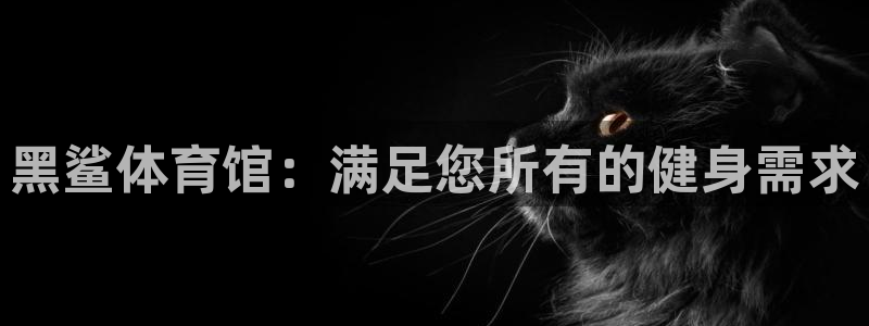 尊龙凯时网娱乐最新版下载