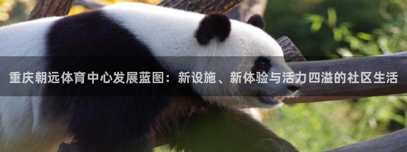 尊龙凯时赞助