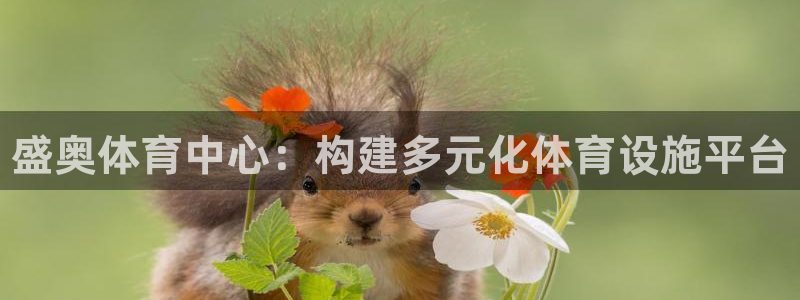 尊龙凯时企业文化