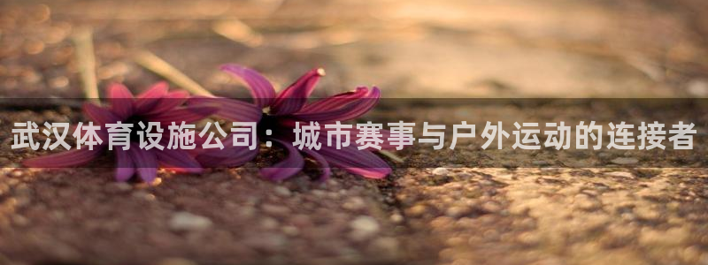 尊龙凯时代理官网入口