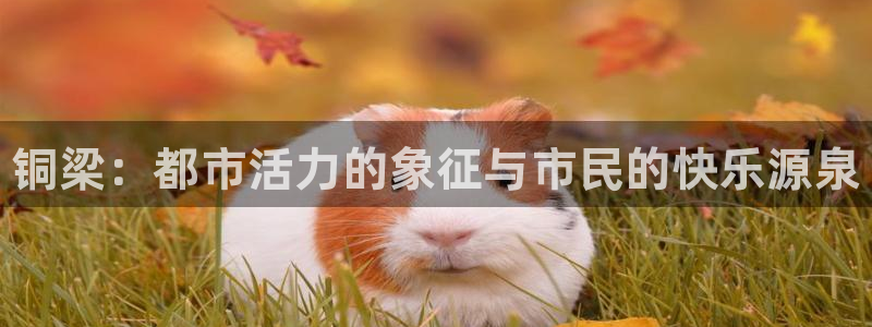 尊龙凯时官网入口